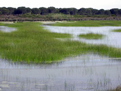 Costa de la Luz